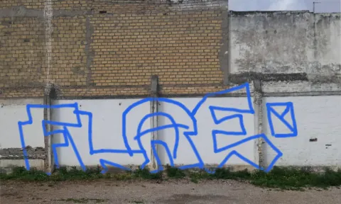 flae by KOBRA