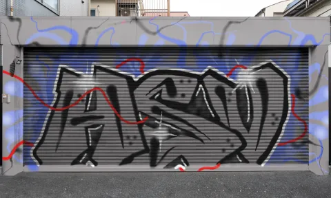 Graffiti artwork by ducizenf12