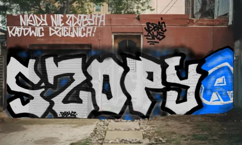 Graffiti artwork by vandald
