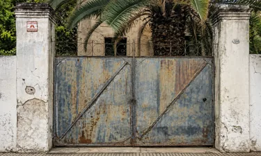 Palm Gate online graffiti wall